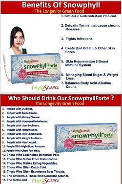 Snowphyllforte